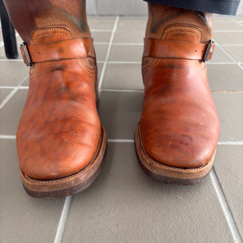 Unsung House Desert Fever Dream in Maryam Toscanello Rovescio Sego Horsebutt