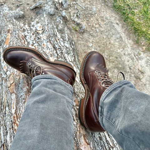 White's C350 Cruiser in Seidel Brown Double Shot