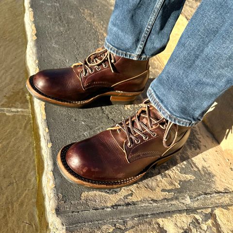 White's C350 Cruiser in Seidel Brown Double Shot