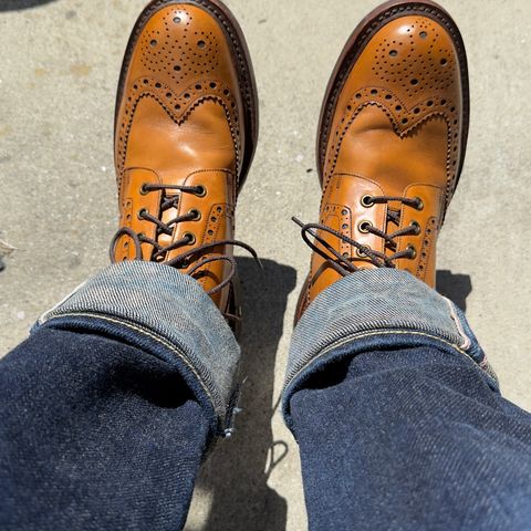 Loake Bedale in Calf
