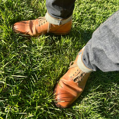 Viberg Service Boot in Maryam Col. 1060 TPR Horsebutt