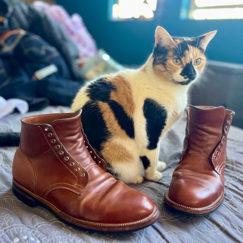 Viberg Service Boot in Maryam Col. 1060 TPR Horsebutt