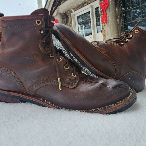 Nicks Falcon in Horween Orange Predator