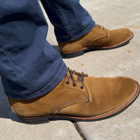 Red Wing Merchant in S.B. Foot Olive Mohave Roughout