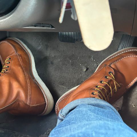 Red Wing 10877 in S.B. Foot Oro-Iginal