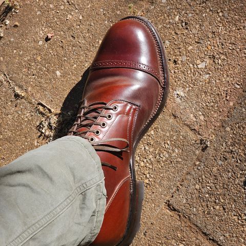 Viberg Service Boot BCT in Horween Color 4 Shell Cordovan