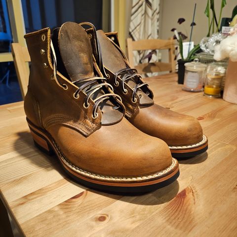 Nicks Robert in Horween Orange Predator