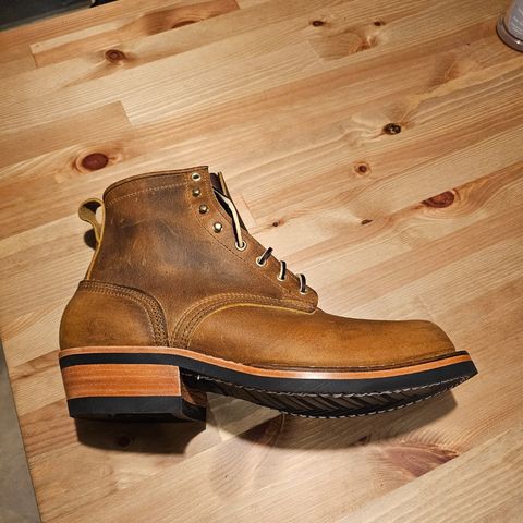 Nicks Robert in Horween Orange Predator