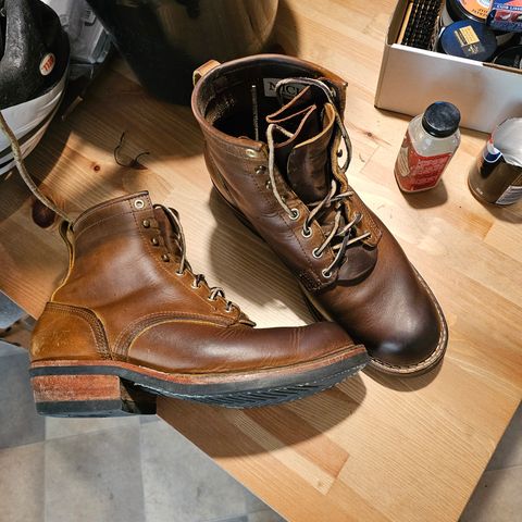Nicks Robert in Horween Orange Predator