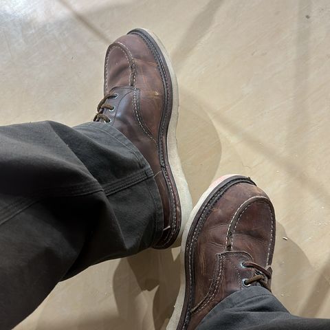 Red Wing 6-Inch Classic Moc in S.B. Foot Copper Rough and Tough