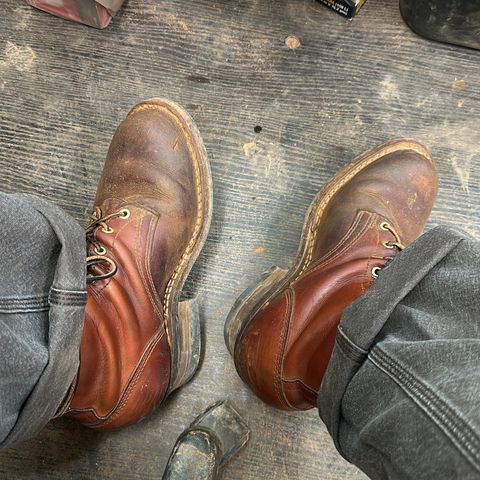 Frank's Wilshire in Wickett & Craig Tan Oiled Latigo
