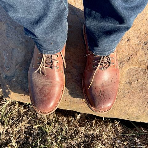 Oak Street Bootmakers Trench Boot in Seidel Light Brown Mustang