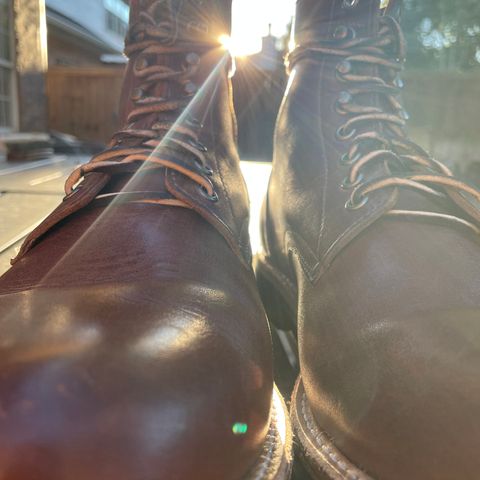Oak Street Bootmakers Trench Boot in Seidel Light Brown Mustang