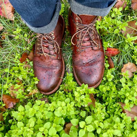 Oak Street Bootmakers Trench Boot in Seidel Light Brown Mustang