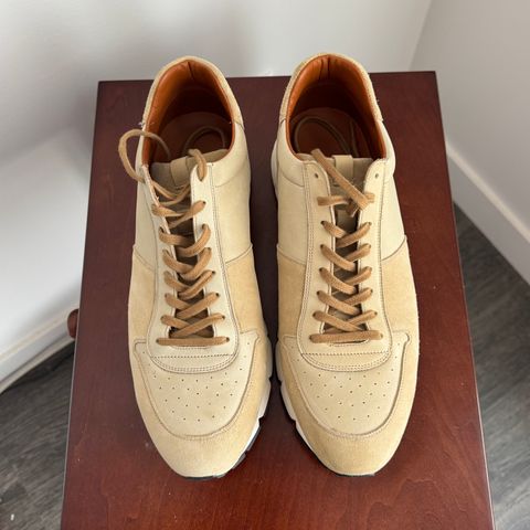 Viberg Sneaker in Cf Stead Janus