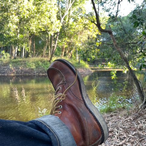 View photo of Red Wing 875 Classic moc in Oil Tan Leather