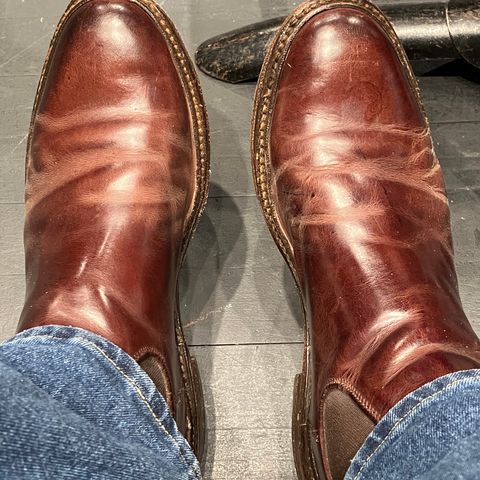 FRYE James Chelsea in Unknown Leather