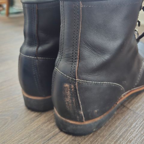 Red Wing Blacksmith in S.B. Foot Black Prairie