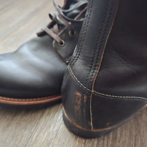 Red Wing Blacksmith in S.B. Foot Black Prairie