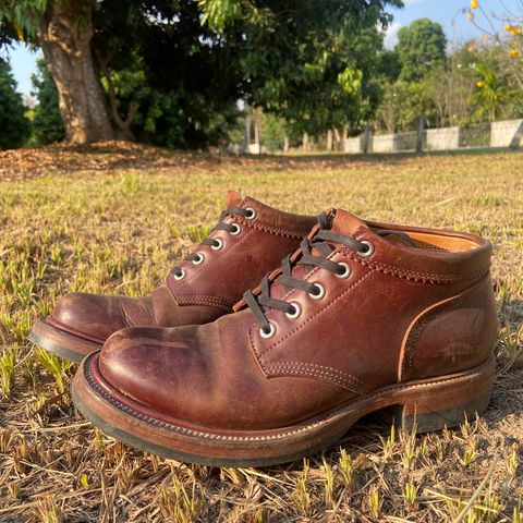 Quan Shoemaker Custom Model in Maryam Burgandy TPR