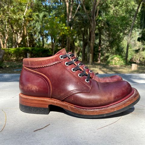 Quan Shoemaker Custom Model in Maryam Burgandy TPR