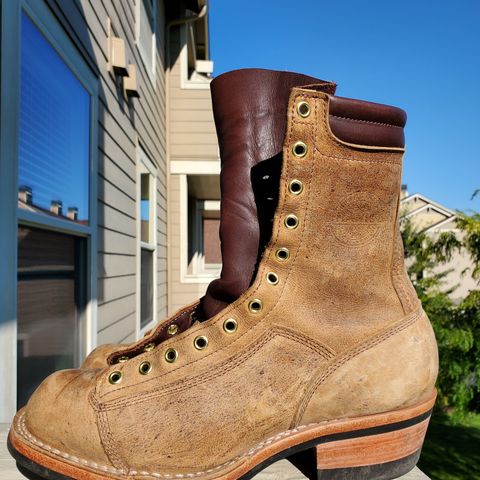 Frank's Monkey Boot in C.F. Stead Autumn Spice Kudu Classic