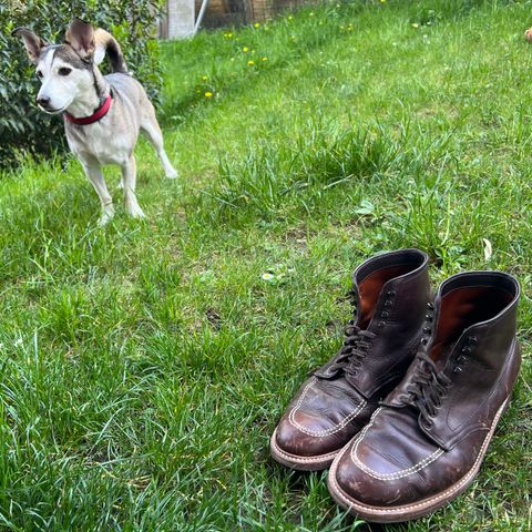Alden Indy Boot in Horween Brown Chromexcel