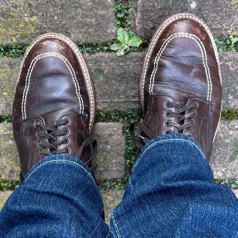 Alden Indy Boot in Horween Brown Chromexcel