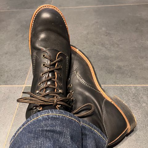 Red Wing Blacksmith in S.B. Foot Black Prairie