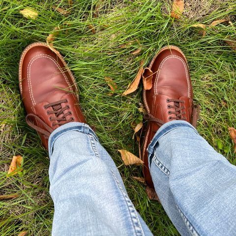 View photo of Alden Indy Boot in Brown Calfskin