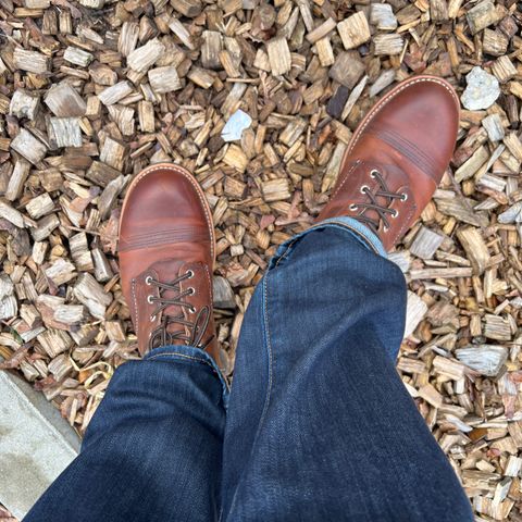 Red Wing Iron Ranger in S.B. Foot Copper Rough and Tough
