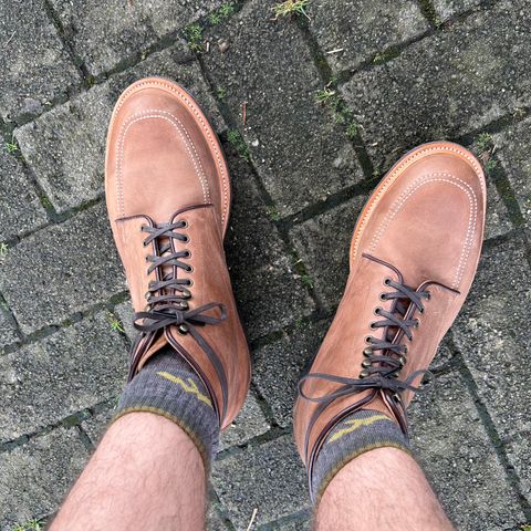 Search result thumbnail of Luoisjiet Indy in Tan Refresh Waxy