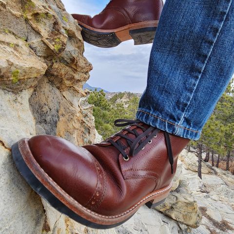 Oak Street Bootmakers Lakeshore Jump Boot in Badalassi Carlo Garret Cotto