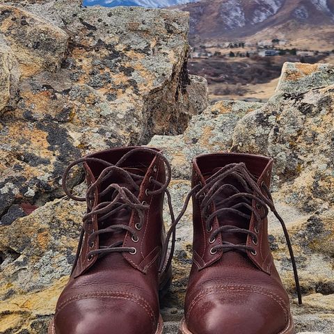 Oak Street Bootmakers Lakeshore Jump Boot in Badalassi Carlo Garret Cotto