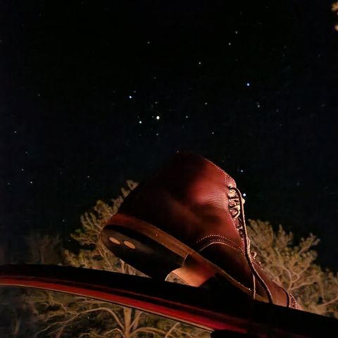Oak Street Bootmakers Lakeshore Jump Boot in Badalassi Carlo Garret Cotto