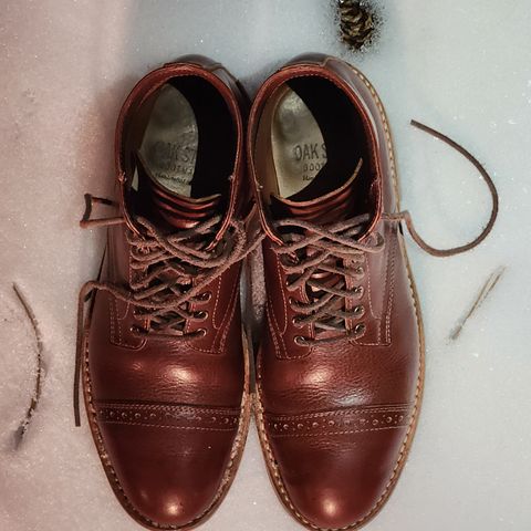 Oak Street Bootmakers Lakeshore Jump Boot in Badalassi Carlo Garret Cotto
