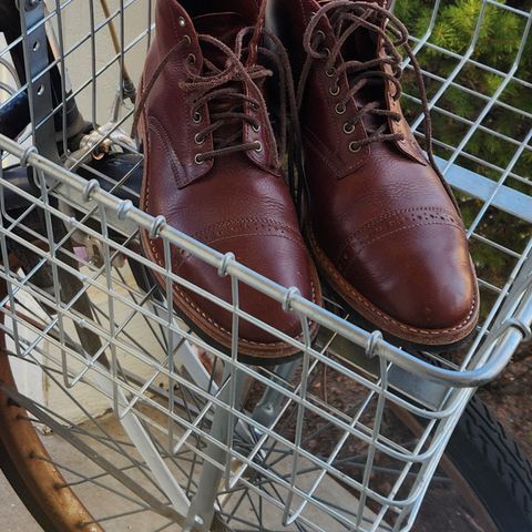 Oak Street Bootmakers Lakeshore Jump Boot in Badalassi Carlo Garret Cotto