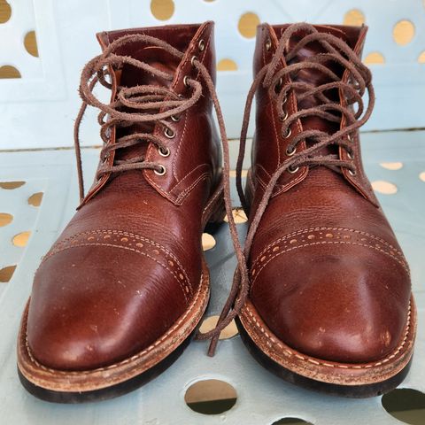 Oak Street Bootmakers Lakeshore Jump Boot in Badalassi Carlo Garret Cotto