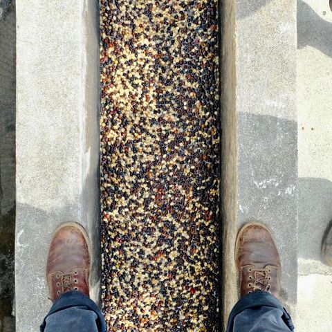 Red Wing Blacksmith in S.B. Foot Briar Oil Slick