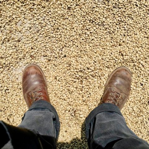 Red Wing Blacksmith in S.B. Foot Briar Oil Slick