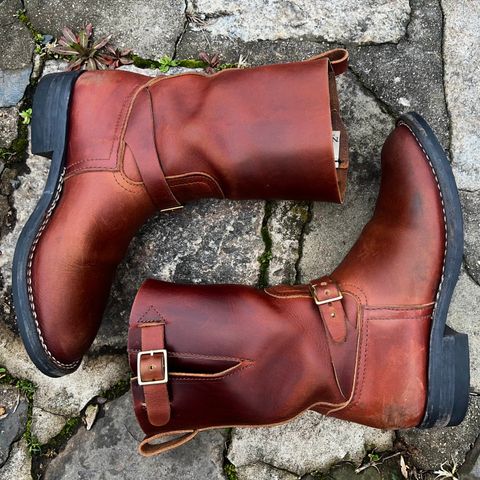 Nicks Pullman in 64 Brown Double Shot