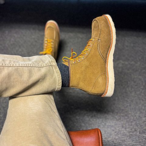 Red Wing 6-Inch Classic Moc in S.B. Foot Olive Mohave Roughout