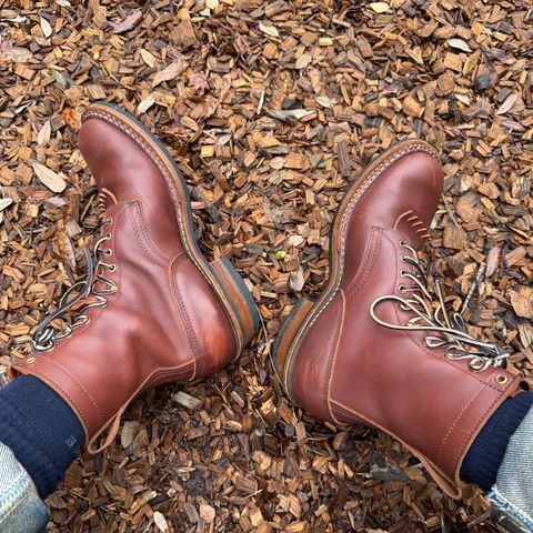 White's Farmer/Rancher in Seidel Red Dog Oil Tan