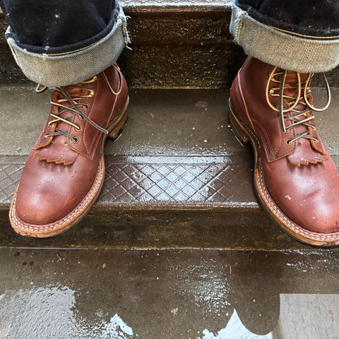 White's Farmer/Rancher in Seidel Red Dog Oil Tan