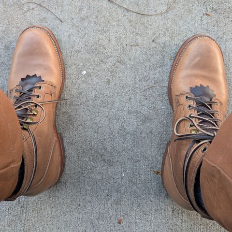Oak Street Bootmakers Storm Boot in Horween Natural Chromexcel