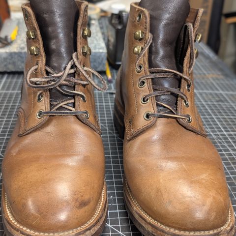 Oak Street Bootmakers Storm Boot in Horween Natural Chromexcel