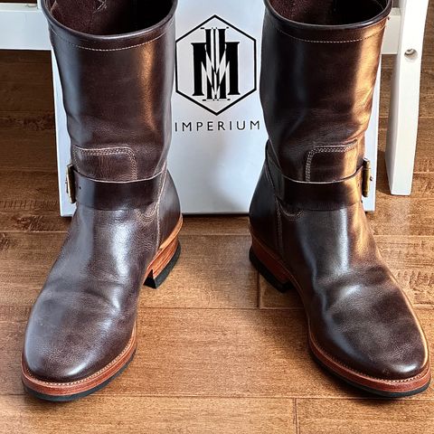 Imperium Unknown Model in Maryam Brown Horsebutt