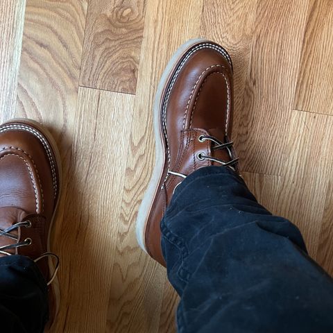 Nicks Moc Toe in Seidel 1964 Brown