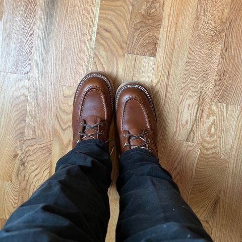 Nicks Moc Toe in Seidel 1964 Brown