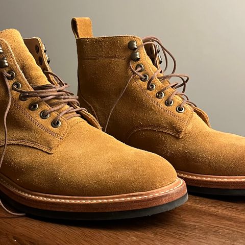 Taylor Stitch Trench Boot in Golden Waterproof Suede